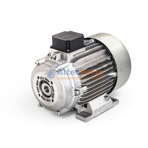 Mazzoni elektromotor 4,0 kW - 230/400V - Interne flexibele koppeling voor PM serie - IEC100Uitvoering: B3/B14 - 1450 tpm - 3 Fase